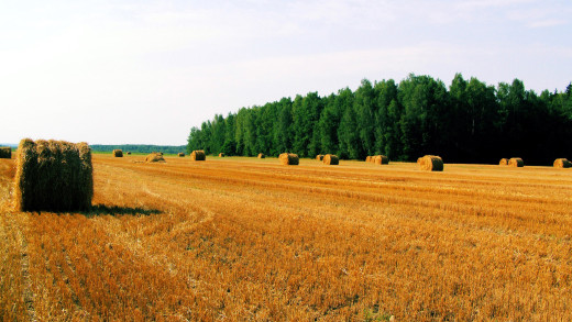 1193980 (a): :2560x1440
